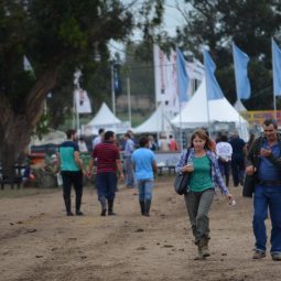 Fotos dia 3 - Expo Melilla 2016 (48)