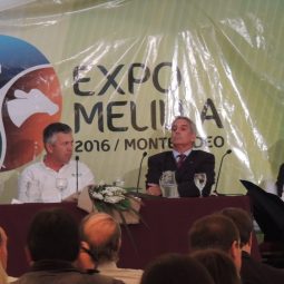 Fotos dia 3 - Expo Melilla 2016 (64)