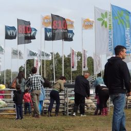 Fotos dia 5 - Expo Melilla 2016 (77)