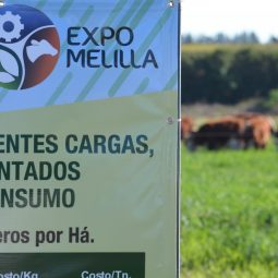 Expo Melilla 2017 - Dia 5 (3)