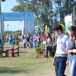 Expo Melilla 2017 - Dia 5 (49)