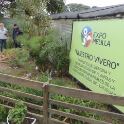 Expo Melilla 2017 - Día 1 (136)