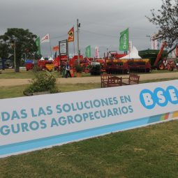 Expo Melilla 2017 - Día 1 (138)