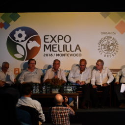 Día 1 - Expo Melilla 2018 (129)