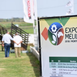 Día 1 - Expo Melilla 2018 (25)