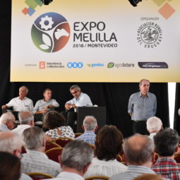 Día 1 - Expo Melilla 2018 (49)
