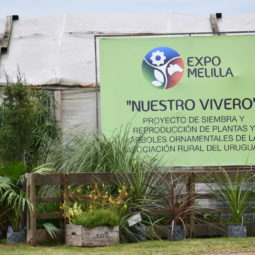 Día 2 - Expo Melilla 2018_143