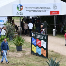 Día 3 - Expo Melilla 2018_083
