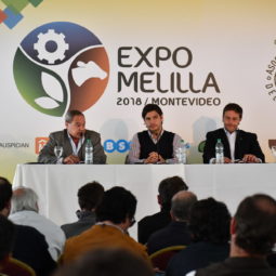 Día 3 - Expo Melilla 2018_090