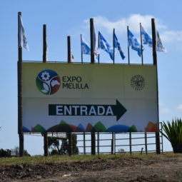 Expo Melilla 2019 - Día 1 (93)