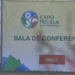 Expo Melilla 2019 - Día 2 (27)