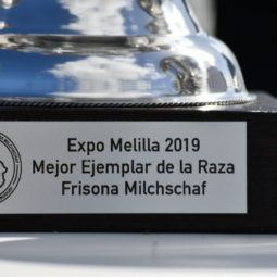Expo Melilla 2019 - Día 3 (101)
